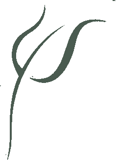 Logo Giorgia Belardini Psicologa